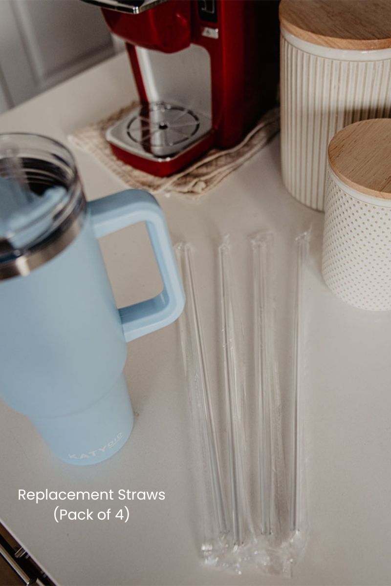 Replacement Straws (Pack of 4)